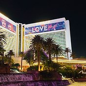 Las Vegas 라스베가스]화산쇼_베가스 스트립_시크릿 가든(Secret Garden)_'The Mirage(더 미라지)' 호텔-2편