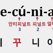 라틴어 알파벳 V의 발음에 대하여