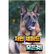 독일 셰퍼드의 평균 둘레는 얼마입니까