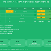 42 Seoul 본과정 합격 🤿 La Piscine 후기
