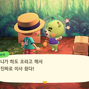 모여봐요 동물의 숲, 주민변화