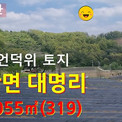 신라부동산