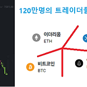 메타트레이더 5. 체계정리. 활용법/지식