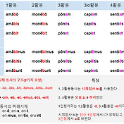 고전 라틴어 학습기