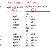 고전 라틴어 학습기