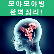 모야모야병 증상 치료 좋은 음식