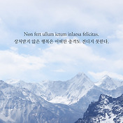 라틴어 예쁜단어 및 뜻좋은 예쁜문구 53개