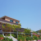 경산 미즈컨테이너 대구대점 치킨바베큐세트+까망베르치즈치즈?+특선 ...