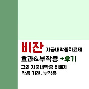 나의 자궁내막증 이야기 | 복강경 난소혹 제거술 후기 | 여성 유산균 추천 4