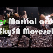 Animation Nier Replicant Sword Moveset For Skysa I Abr