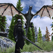 fores new idles in skyrim se pirate version