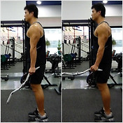 시티드 덤벨 트라이셉스 익스텐션(Seated Dumbbell Triceps Extension) 상완삼두근 운동