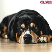 동물사육사 되는 법, 취업, 연봉 등 모든 것
