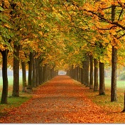아름다운 가을 풍경 사진 100선 - 1