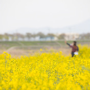 광주 공원 포차