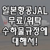델타 Delta 항공 초과/위탁/무료 수하물규정 정리!