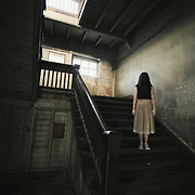 WIKITREE | 네이트판 레전드 공포 사연 10선