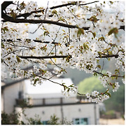 양평 풀빌라펜션 계곡 수영장펜션, 경기도 워크샵장소 및 야유회펜션 추천 단체독채펜션 입니다.