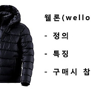 요즘 패딩 충전재로 흔히 볼수있는 웰론소재 뜻과 장점 및 특징(wellon)