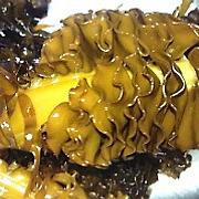 2019년 자연산 제주 돌미역(5월) 아기물미역(4월) 산모미역 예약