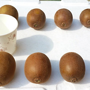 청해진 골드키위 5kg 3만원