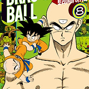 드래곤볼 풀컬러 소년편