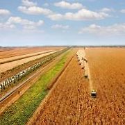 중국 만주 평야 농업 풍경.jpg | 유머 게시판 | 루리웹 모바일