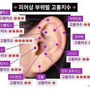 피어싱 부위별 고통지수.jpg - 스퀘어 카테고리