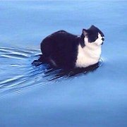 팬팃놈 on Twitter