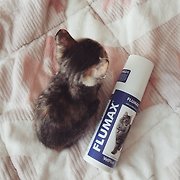 현정 on Twitter