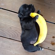 아가새농장 on Twitter