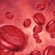 피가 모자라? '혈액량'에 주목하라