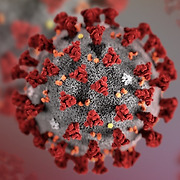 "코로나19 막을 수 있었다..작년 2월 '잃어버린 한달'" WHO 독립위
