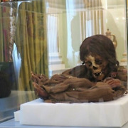 [여기는 남미] 500년 전 잉카시대 어린이 미라, 100년 만에 귀향한 사연