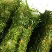 "반찬 없을 때 그냥 꺼내먹었는데.." 치매 예방에 이렇게 좋을 줄 꿈에도 몰랐습니다