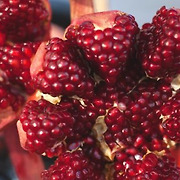 체중부터 피부까지..겨울건강 지키는 과일 10가지