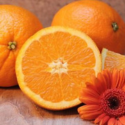 일주일에 오렌지 한 개.. 노안 위험 60% 감소 (연구)