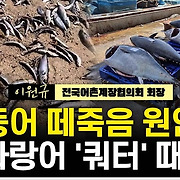 [시선집중] 동해안 어민 “참다랑어·고등어 쏟아지는데…냉동·제빙 시설 없어 헐값에 내준다”