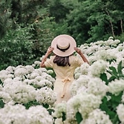 "입장료 주차 모두 무료, 크기만 6만 평" 전국 제 1호로 지정된 힐링 수목원