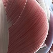 힙 업 하면 건강도 '업'..지키세요 '엉덩이근육'