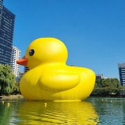 석촌호수 어떻게 변했길래…산책하던 신동빈 회장도 놀랐다