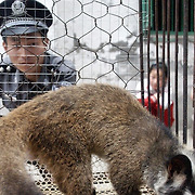 [우한폐렴] 中, 오늘부터 전국 야생동물 거래 전면 금지
