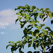 나만 보기 아쉬운 유튜브 채널 추천글?