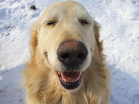 새해 복 많이 받으세요.