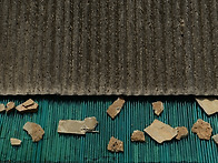 2016 전주국제사진제에서 ..