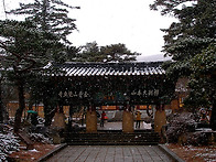 범어사의 설경 (2014 /..