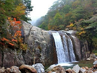 현17회 재향 10..