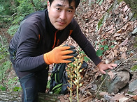 횡성 심산행에서 천마산행..