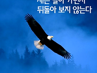 새는 날아 가면서 뒤돌아 ..
