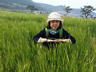 청산도